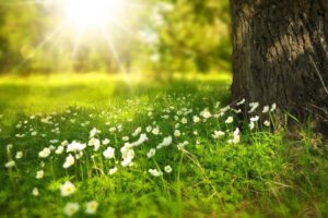 Wie Energiearbeit & Mindset-Coaching Hochsensiblen neue Kraft schenken
